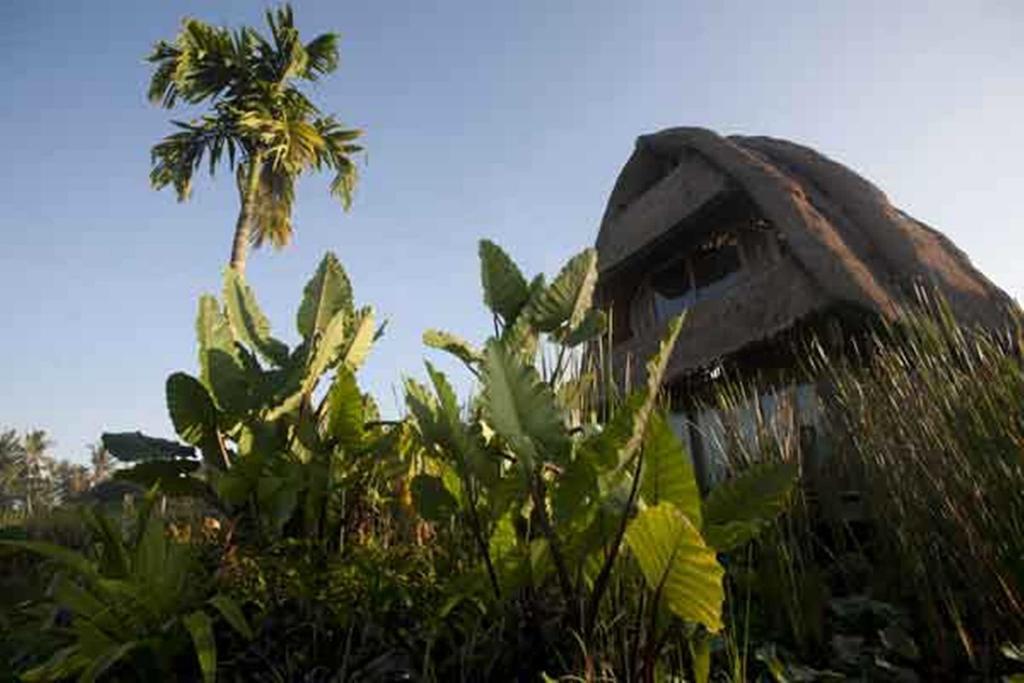Ubud Hidden Villa Yone Village Ngoại thất bức ảnh
