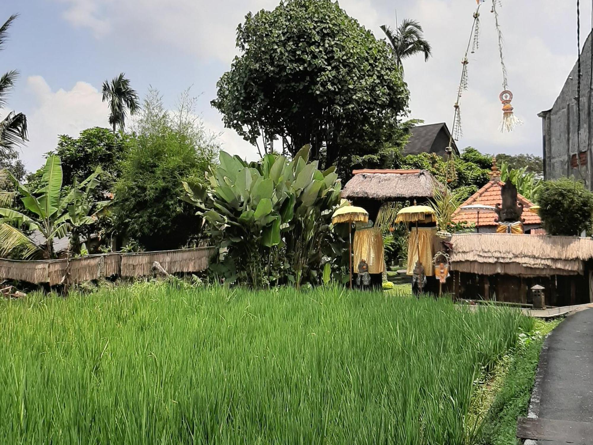 Ubud Hidden Villa Yone Village Ngoại thất bức ảnh