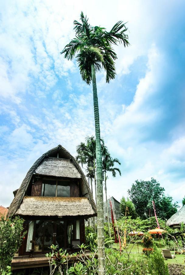 Ubud Hidden Villa Yone Village Ngoại thất bức ảnh