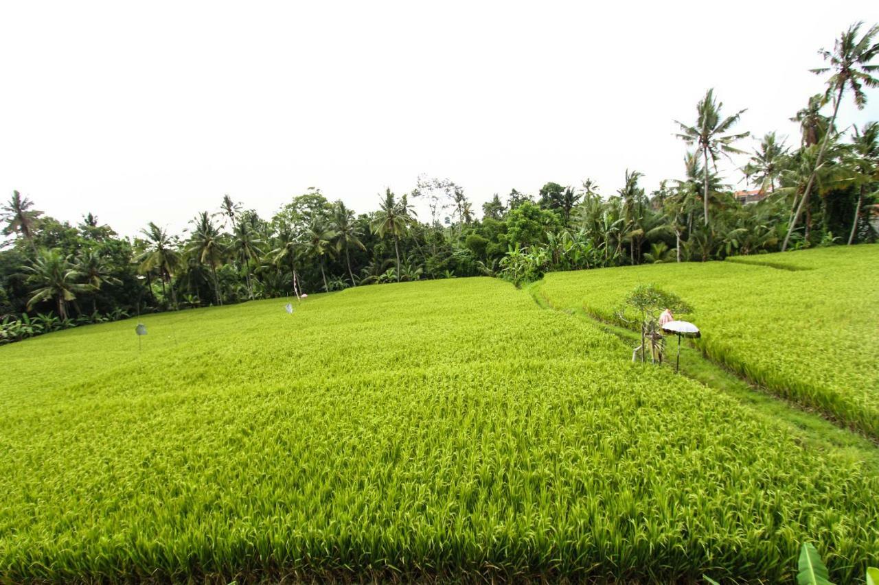 Ubud Hidden Villa Yone Village Ngoại thất bức ảnh
